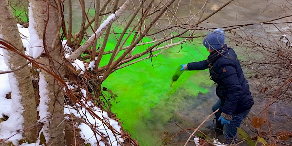 Hydrogeologin impft Bach (Markierversuch)