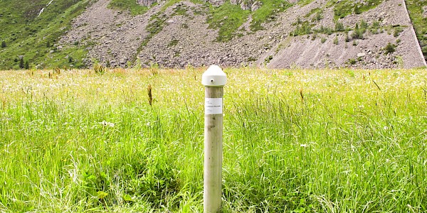 online-Grundwassermessstelle